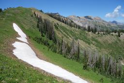 Looking north along the ridge [sat jul 29 12:22:41 mdt 2017]